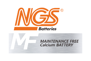 NGS Volcano Logo